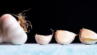 How to Harvest Garlic