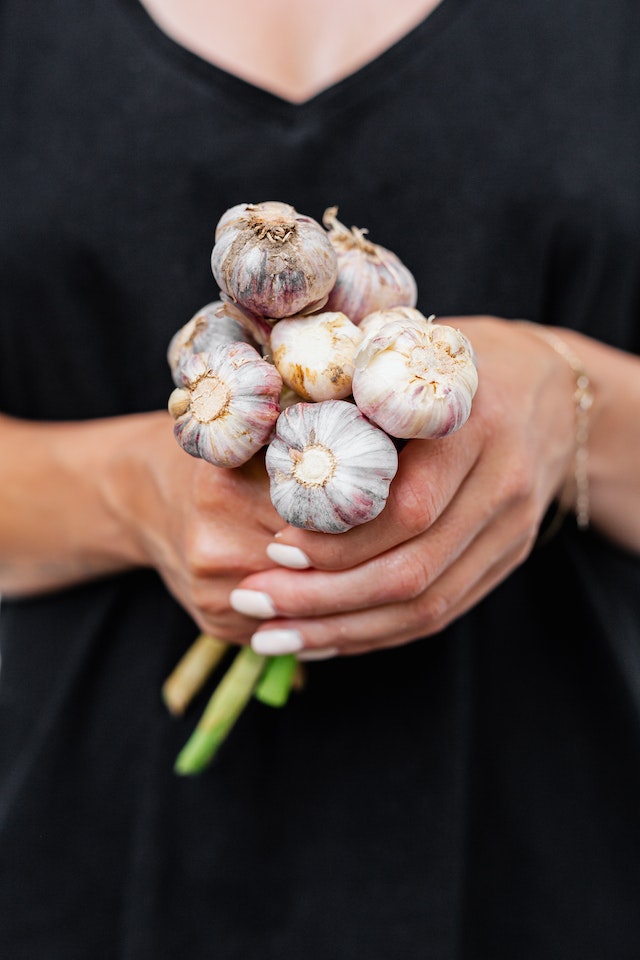 how to plant garlic