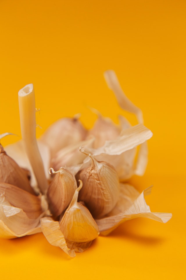 garlic, how to grow garlic