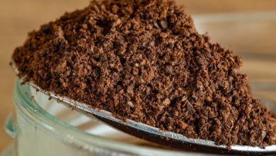 spent coffee grounds as fertilizer