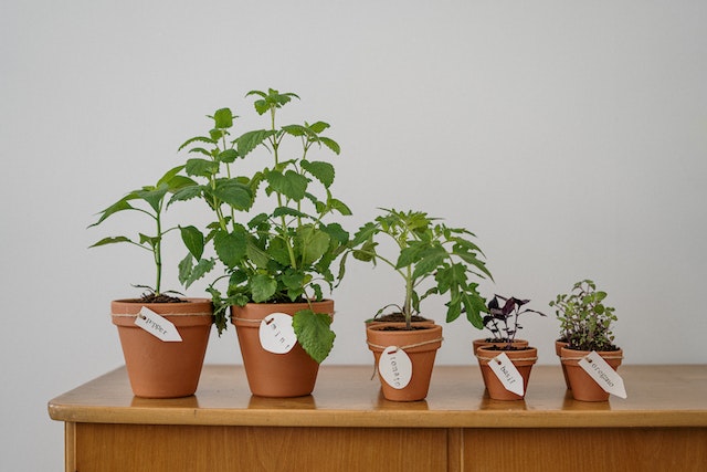gardening containers