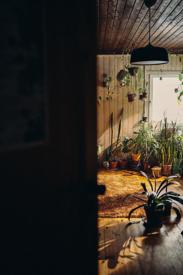 ideas for container gardening