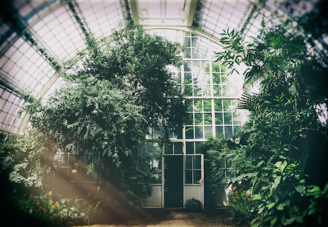 greenhouse for backyard