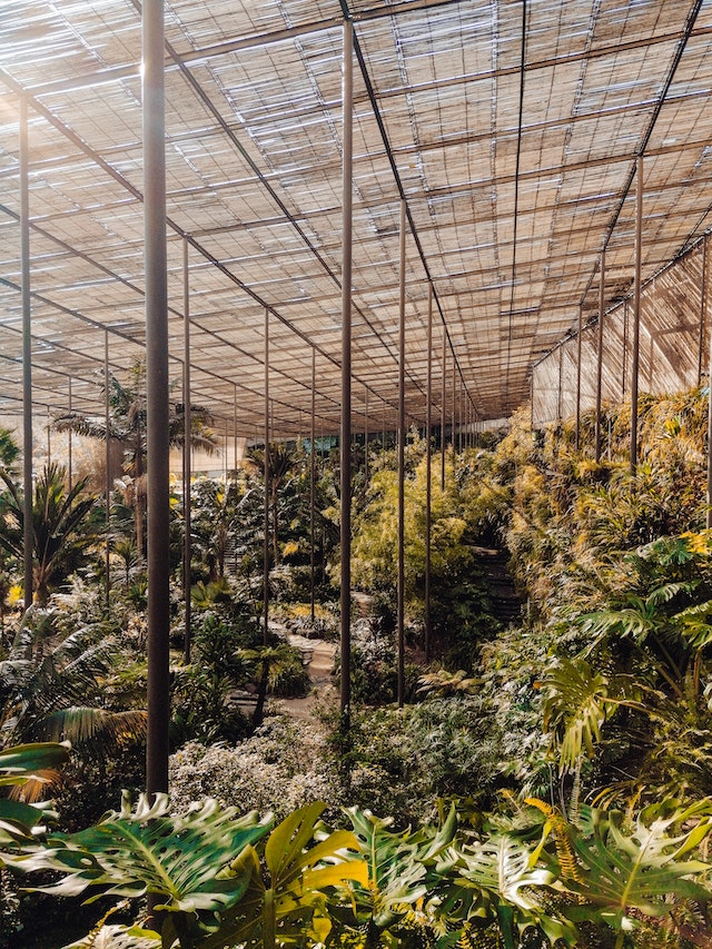 greenhouse lean to