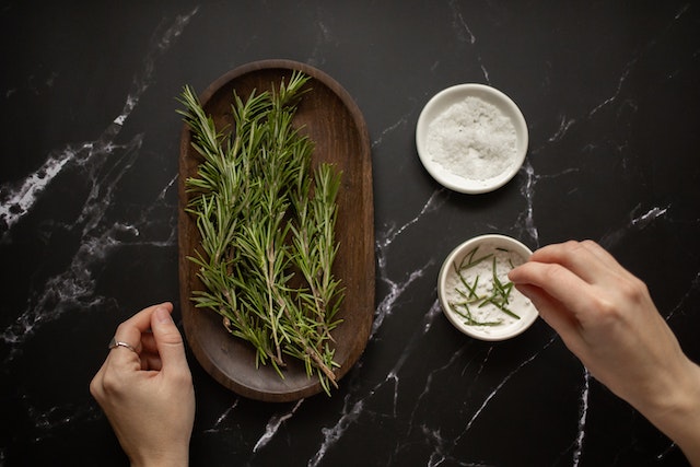 medicinal herbs garden