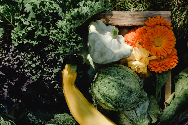 planting for winter vegetables
