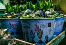gardening containers
