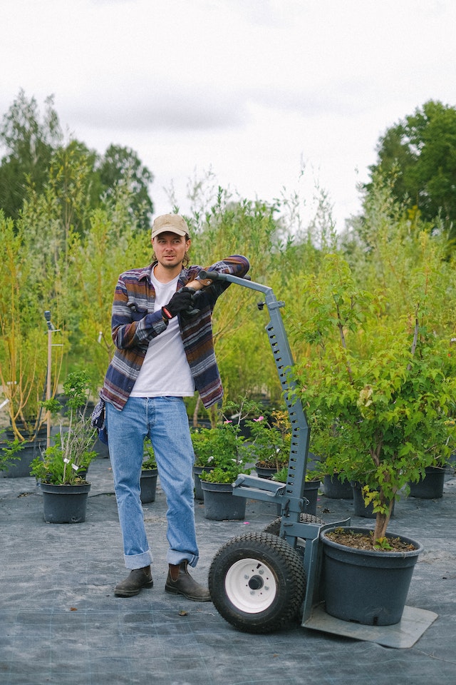 garadening planters containers