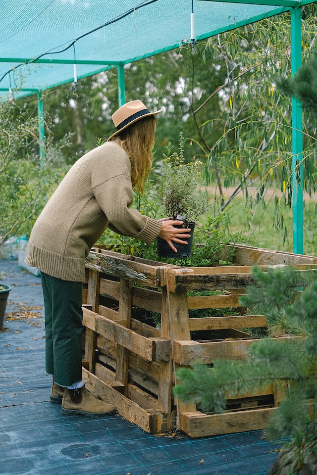 ideas for container gardening